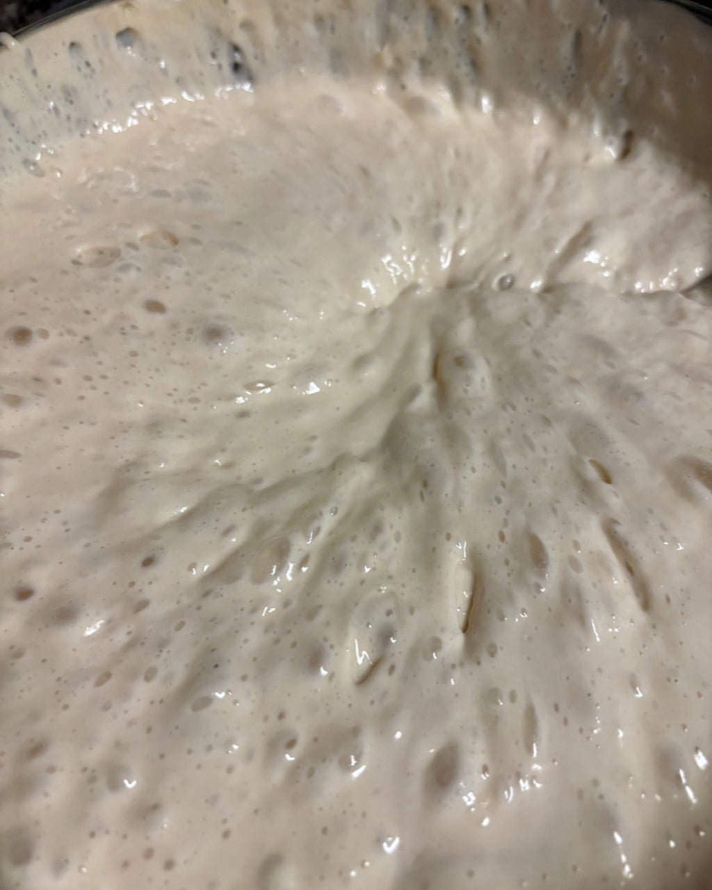 Live Sourdough Starter (Fresh & Active)