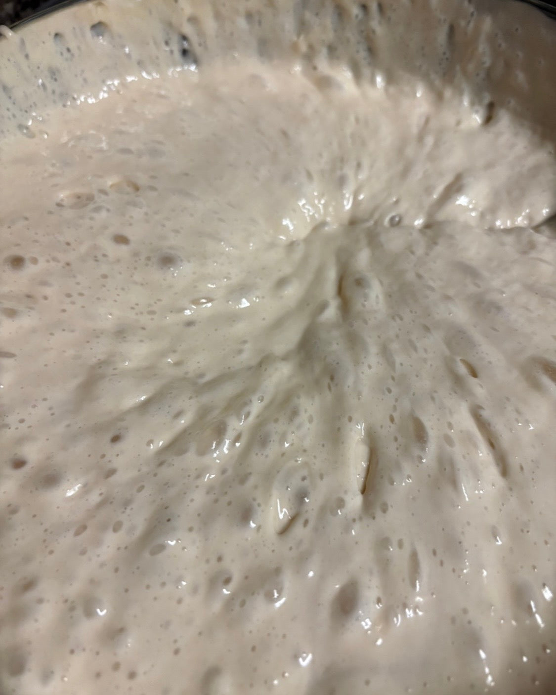 Live Sourdough Starter (Fresh & Active)