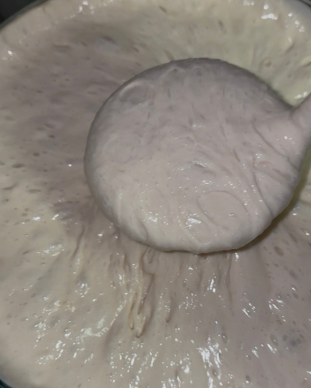 Live Sourdough Starter (Fresh & Active)