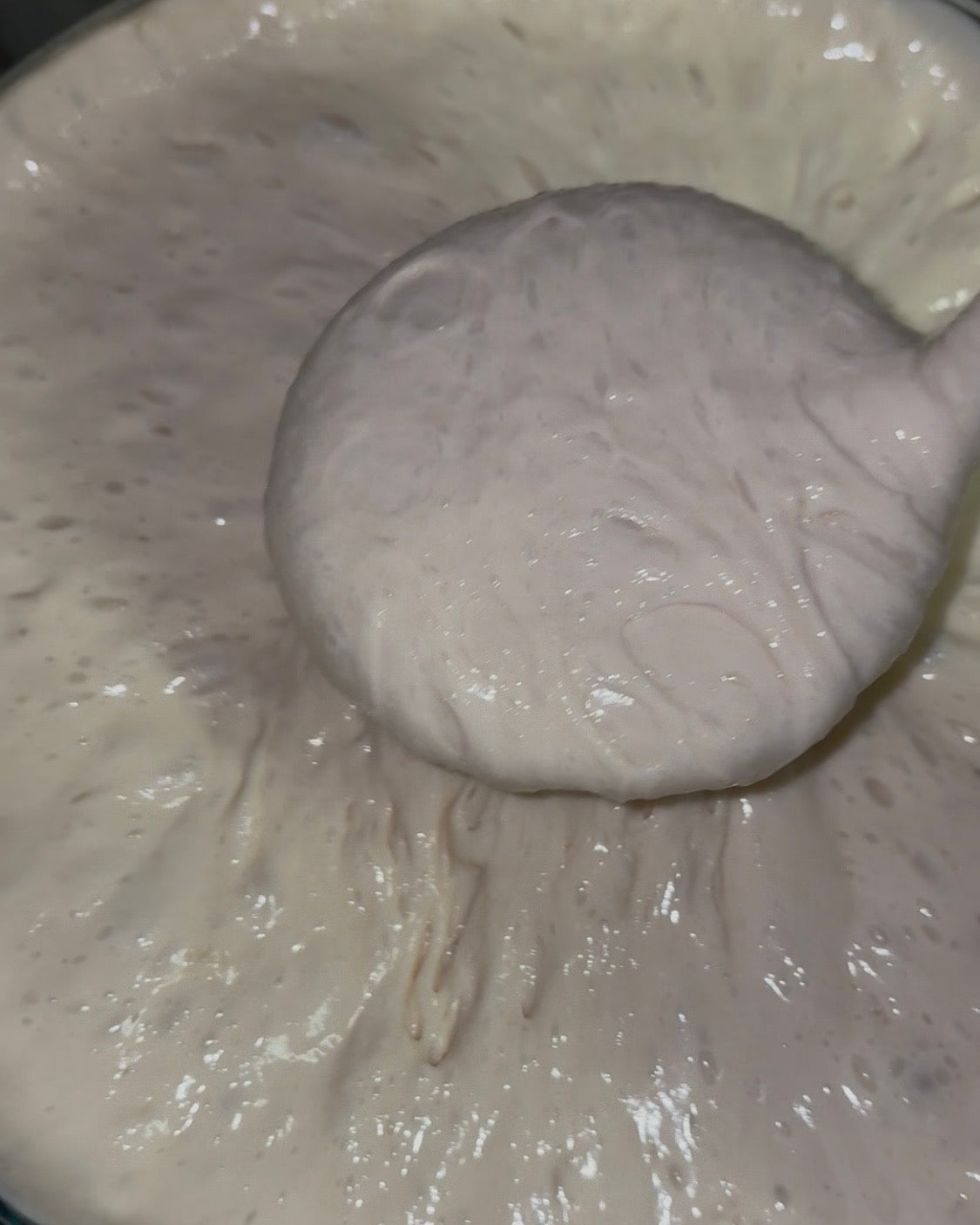 Live Sourdough Starter (Fresh & Active)