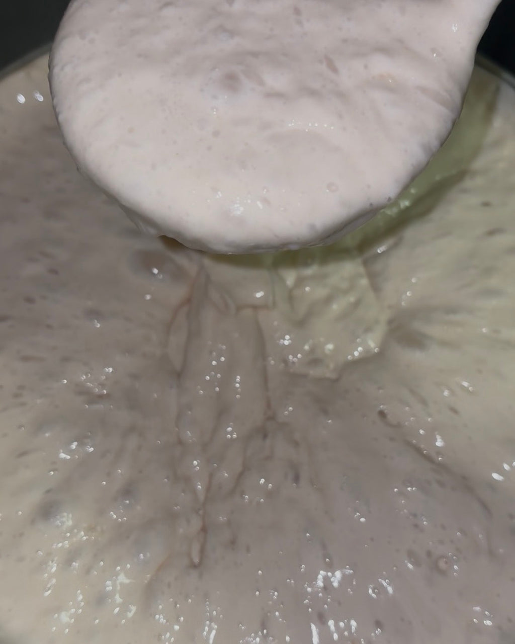 Live Sourdough Starter (Fresh & Active)