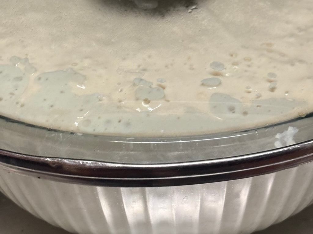 Live Sourdough Starter (Fresh & Active)